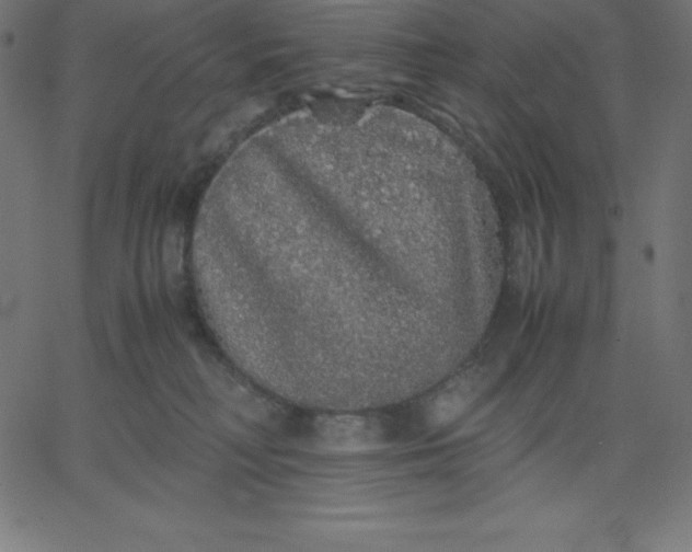 X0000067850230200604271653