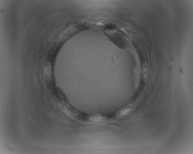 X0000067850231200604271653