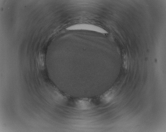 X0000067850232200604271653