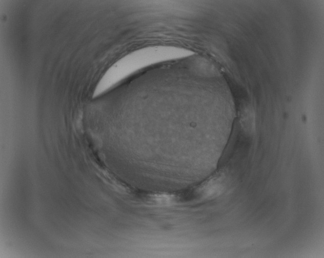 X0000067850233200604271653