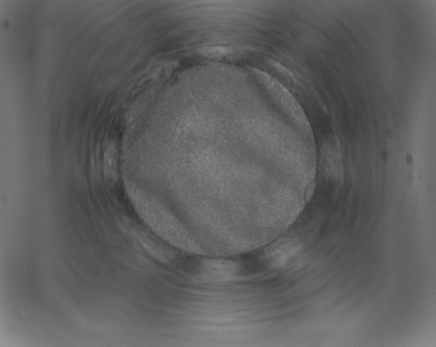 X0000067850234200604271653