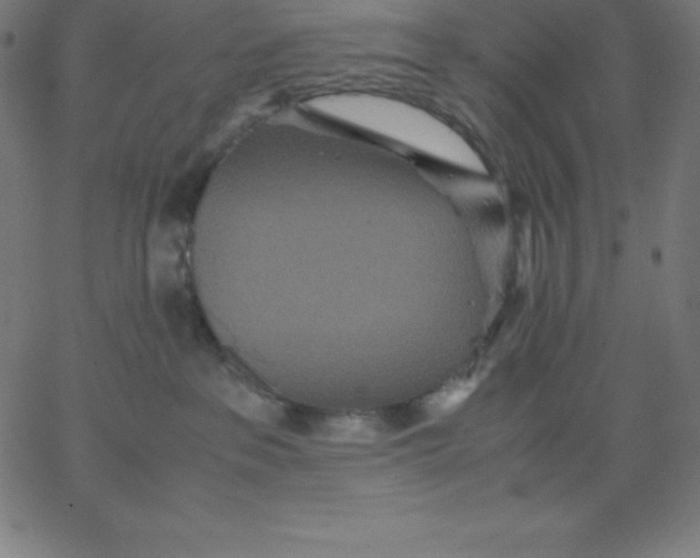 X0000067850237200604271653