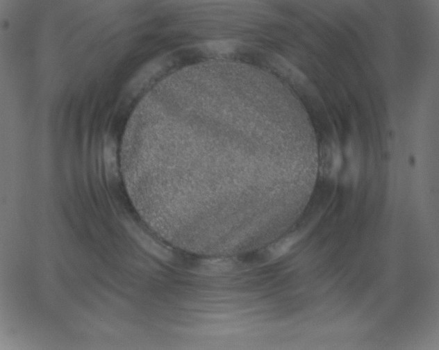 X0000067850238200604271653