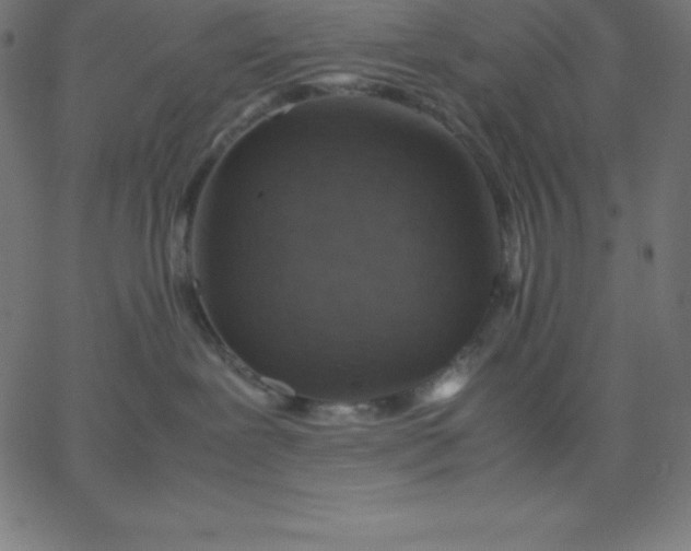 X0000067850239200604271653