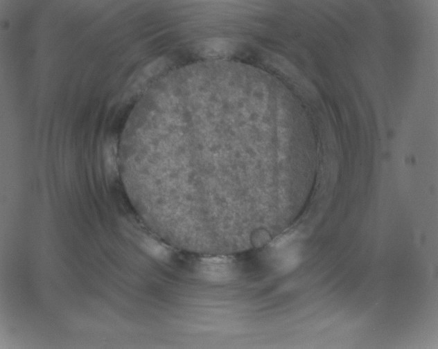 X0000067850240200604271653