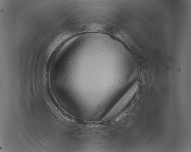 X0000067850242200604271652