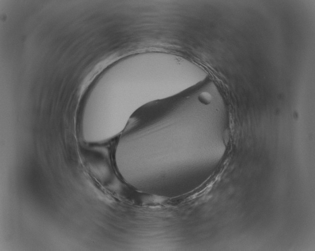 X0000067850244200604271652