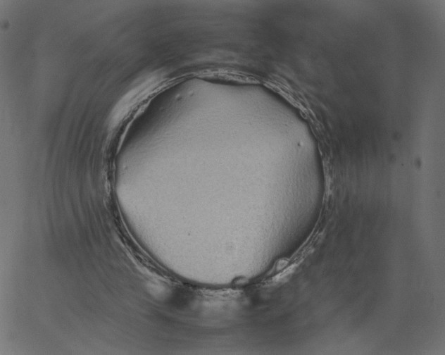 X0000067850245200604271652