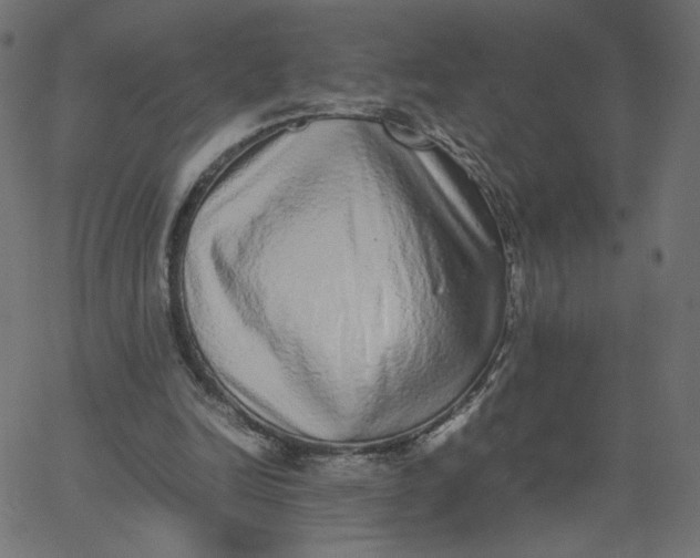 X0000067850246200604271652