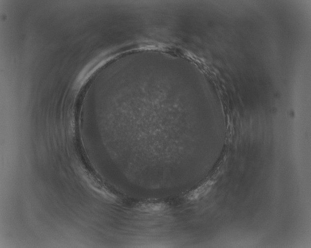 X0000067850247200604271652