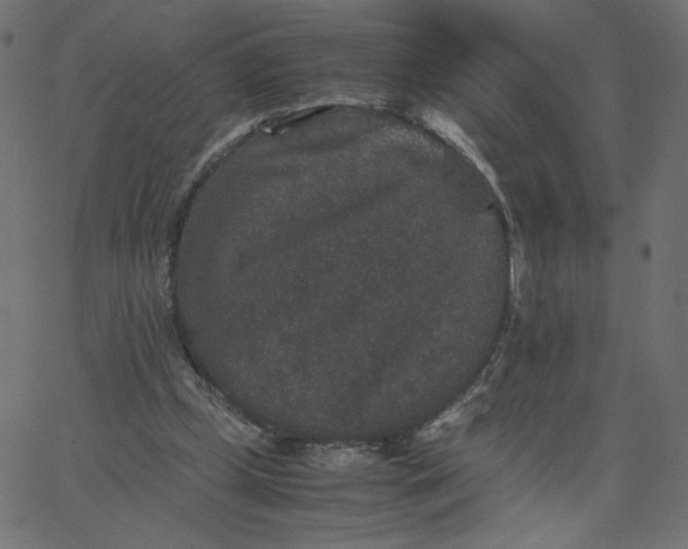 X0000067850249200604271652