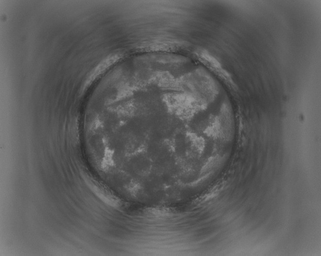 X0000067850250200604271652