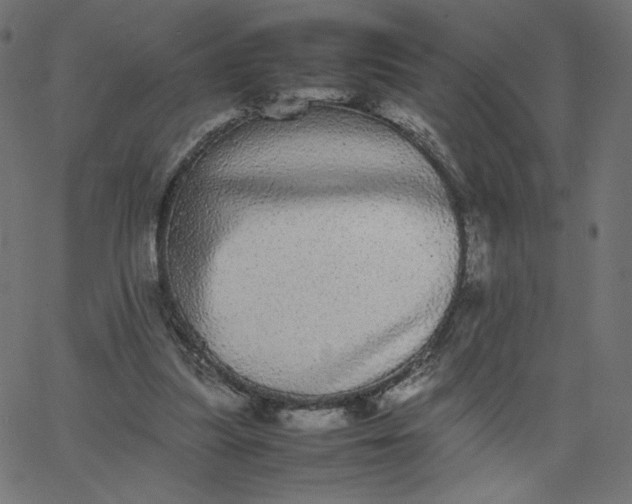 X0000067850251200604271652