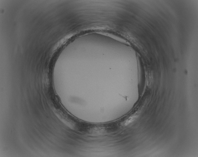 X0000067850252200604271652