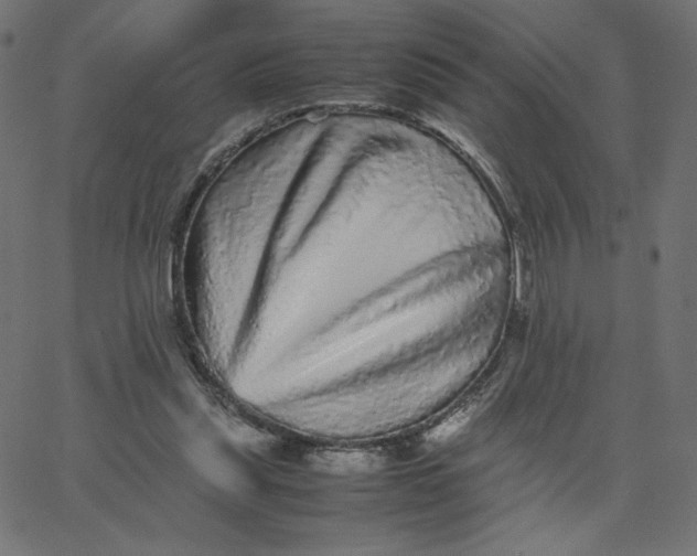 X0000067850253200604271652