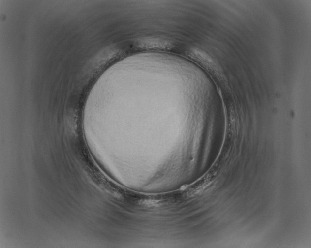 X0000067850255200604271652