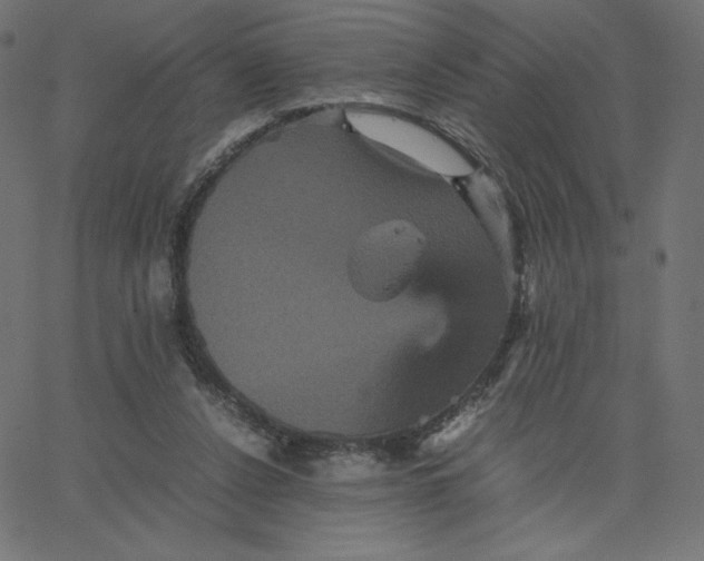 X0000067850256200604271652