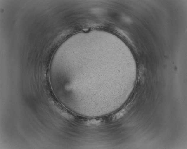 X0000067850257200604271652