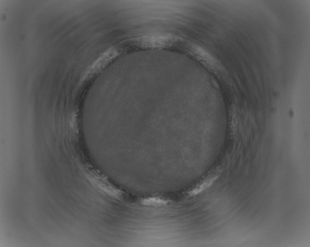 X0000067850258200604271652