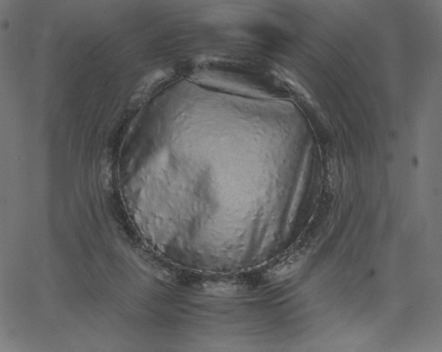 X0000067850259200604271652