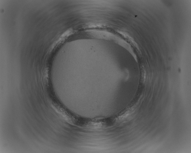 X0000067850260200604271652