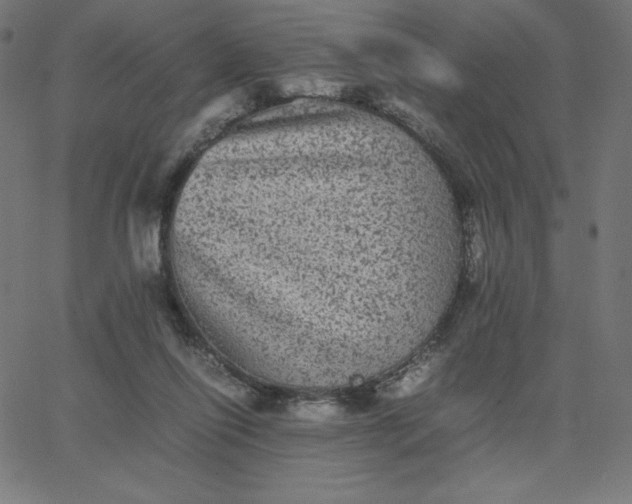 X0000067850262200604271652