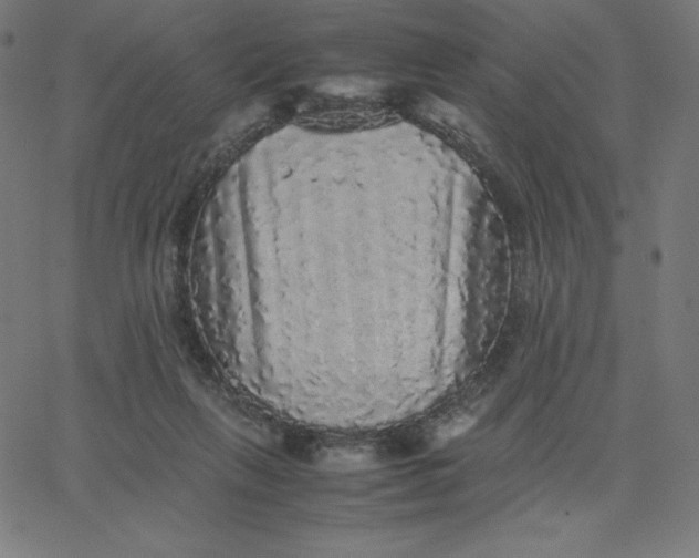 X0000067850263200604271652