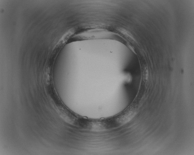 X0000067850264200604271652