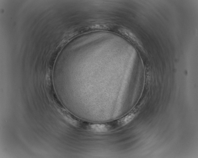 X0000067850265200604271652