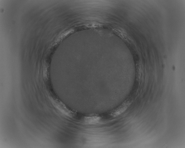 X0000067850266200604271652