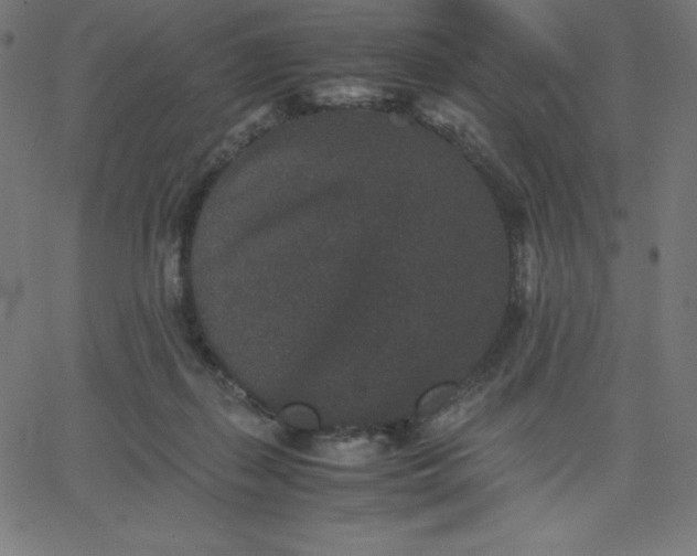 X0000067850267200604271652