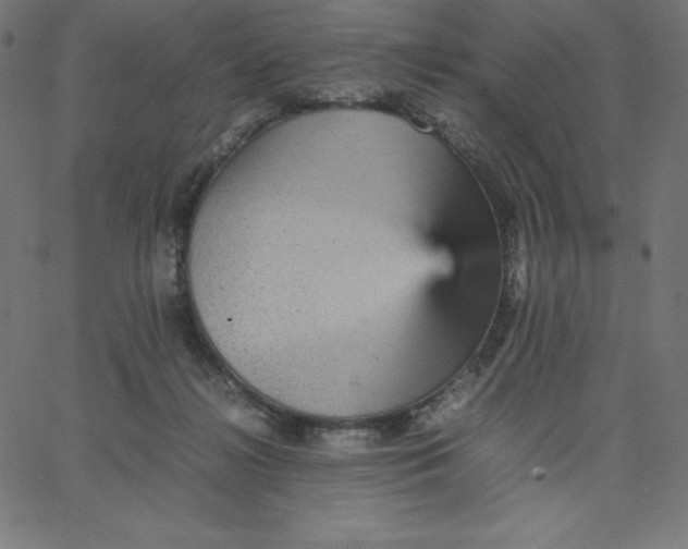 X0000067850268200604271652