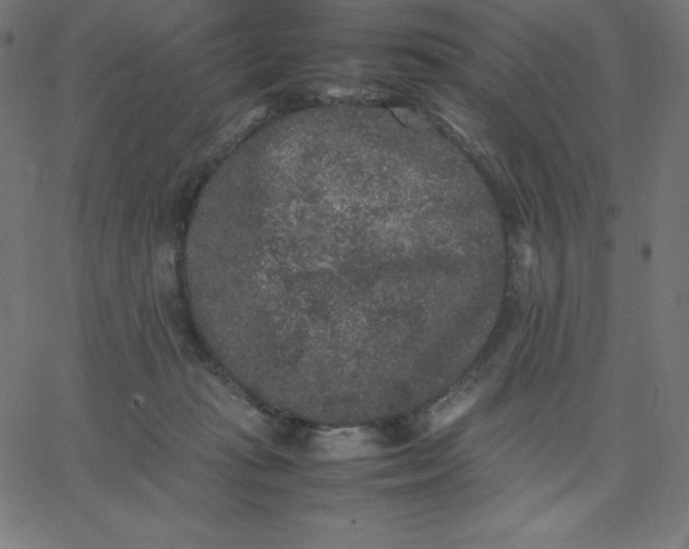 X0000067850269200604271652