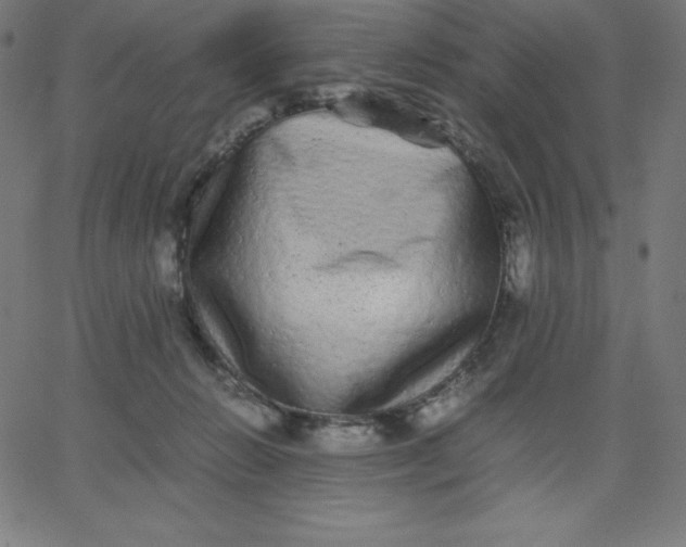 X0000067850270200604271652