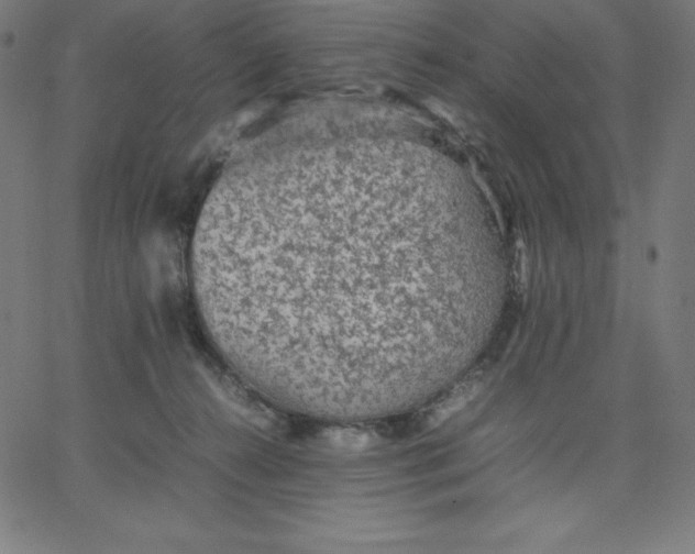 X0000067850272200604271652