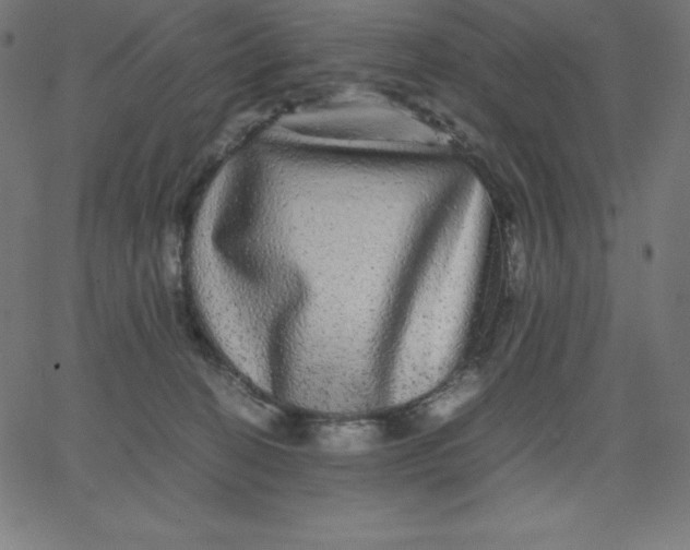 X0000067850274200604271652