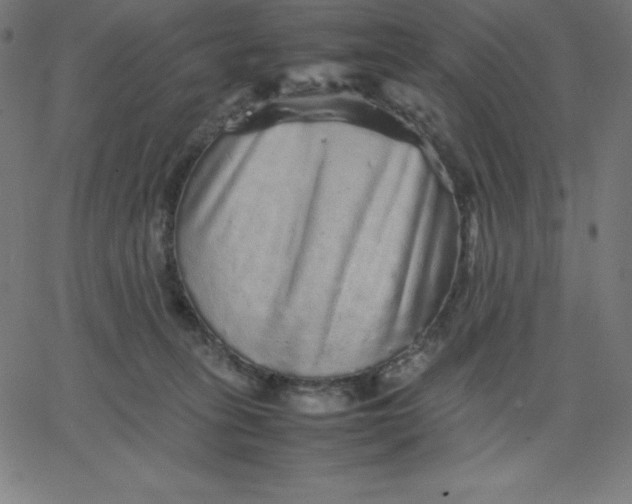 X0000067850275200604271652