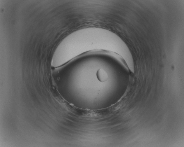 X0000067850276200604271653