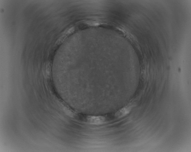 X0000067850277200604271653