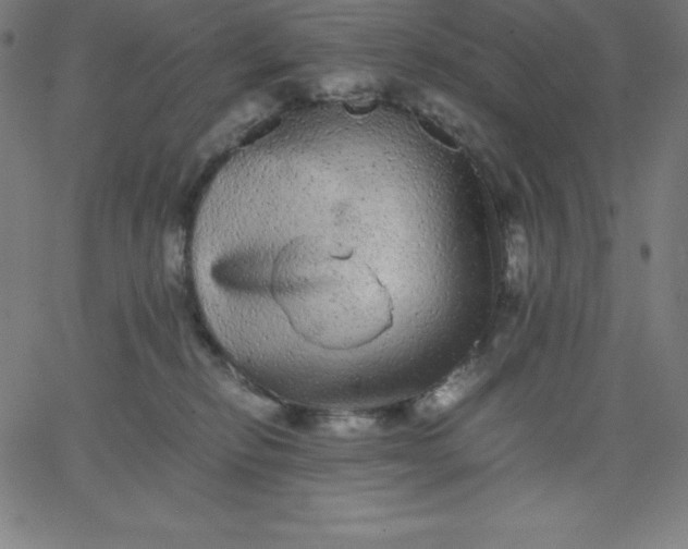 X0000067850278200604271653