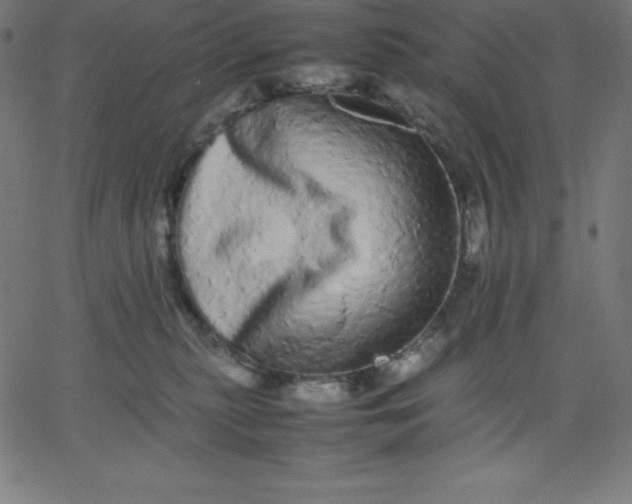 X0000067850279200604271653