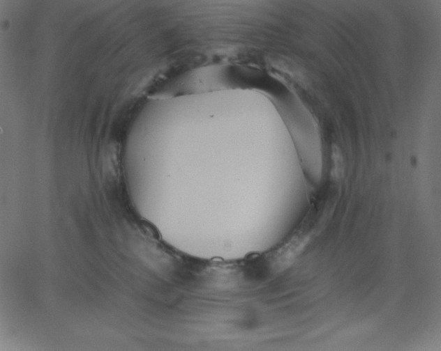 X0000067850280200604271653