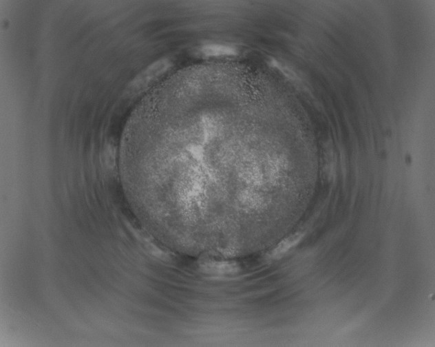 X0000067850281200604271653