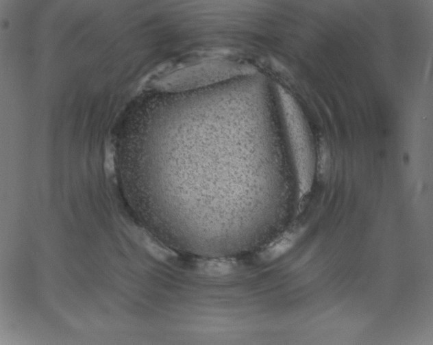 X0000067850282200604271653