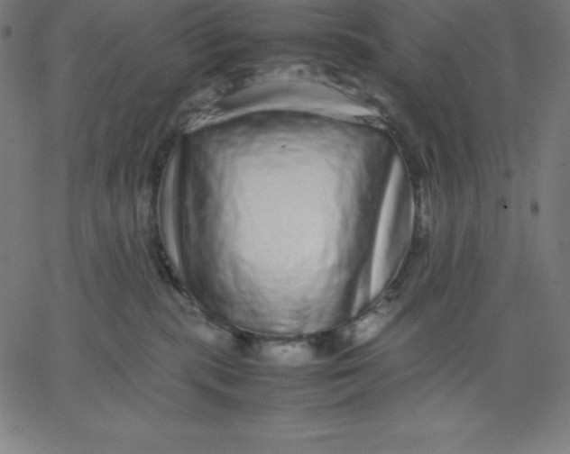 X0000067850283200604271653