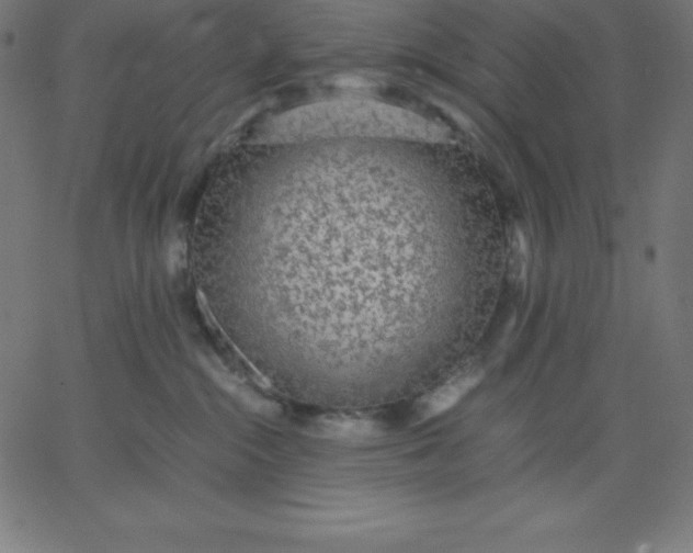 X0000067850284200604271653