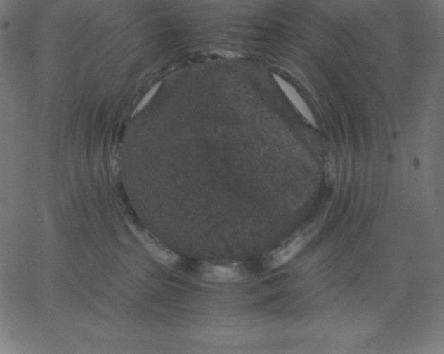 X0000067850285200604271653