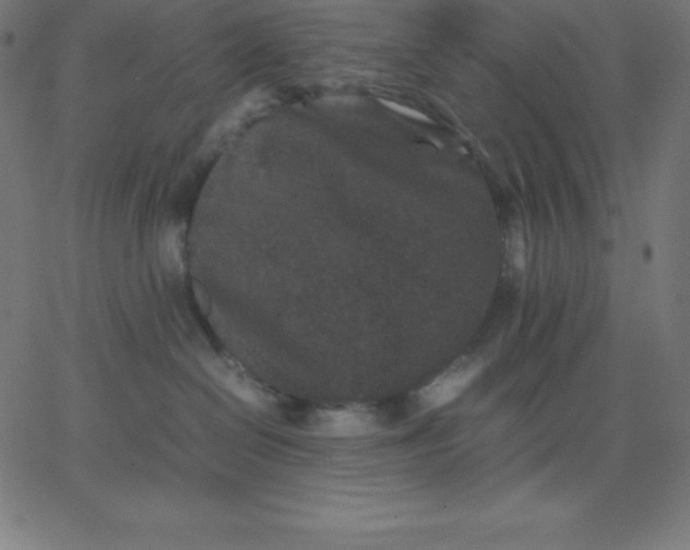 X0000067850286200604271653