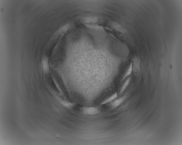 X0000067850287200604271653