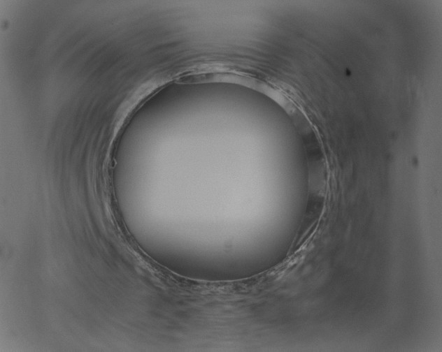 X0000067850289200604271652